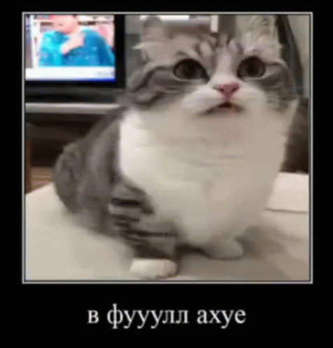 вфуууллахуе-вфулл|476x498