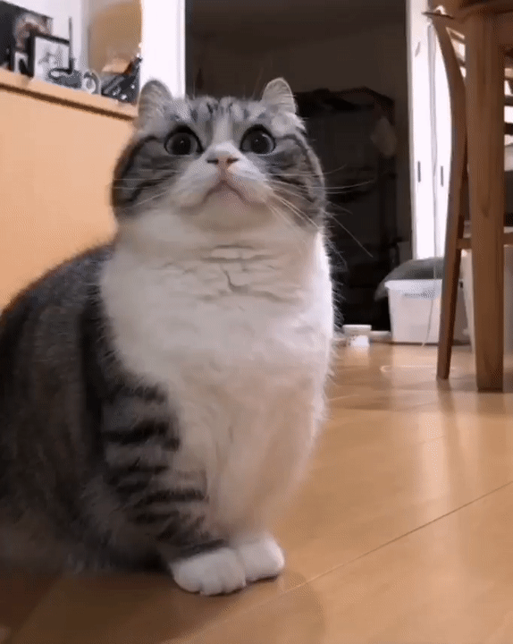 doc_2023-01-31_23-07-59 (1)|398x500
